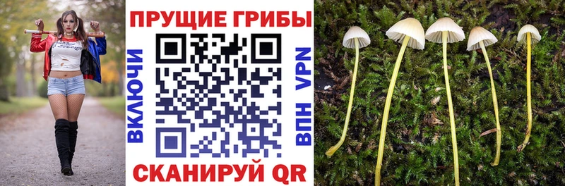 Галлюциногенные грибы Psilocybe  hydra как войти  Тотьма 